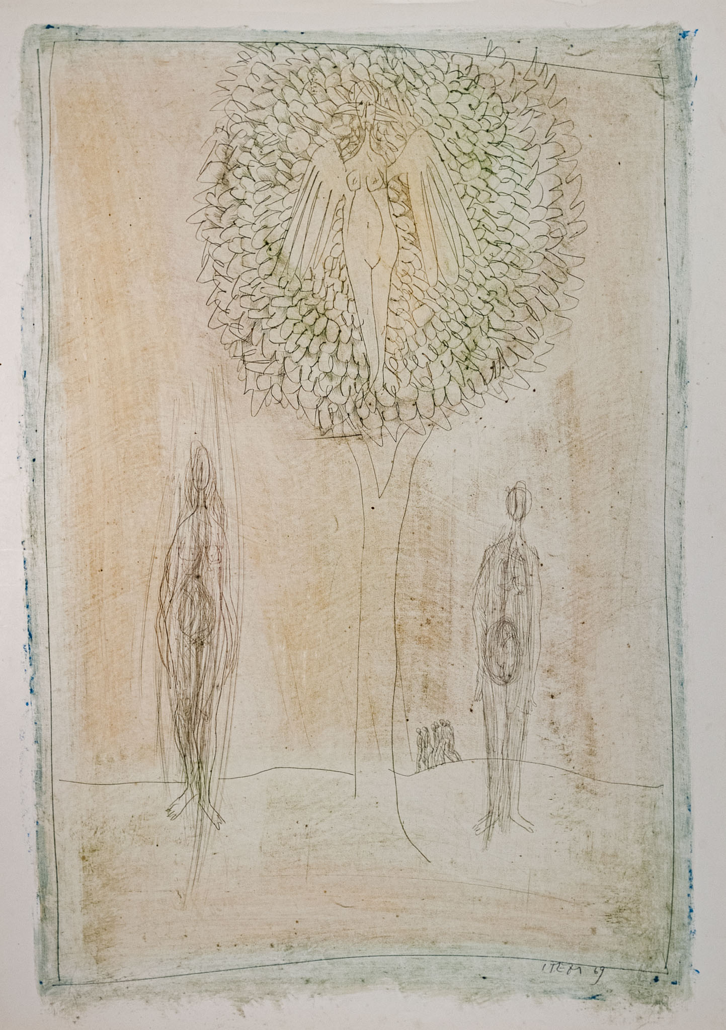 1077.jpg